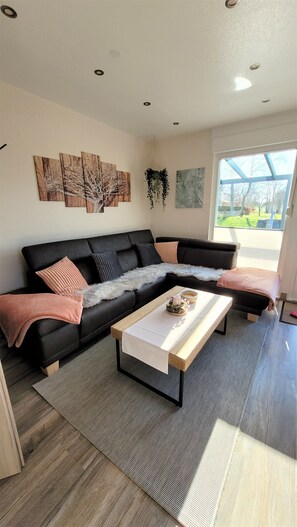 Televisión y libros 