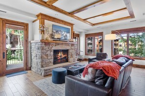 TV, fireplace, DVD player