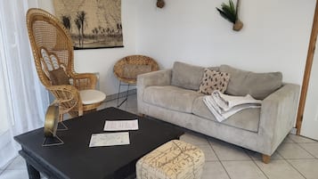 Tv, dvd-spelare, ett bordtennisbord och böcker