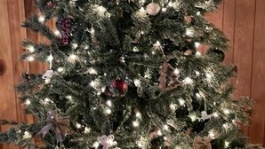 A Christmas tree with lights and ornaments, placed in a room with wooden paneling.