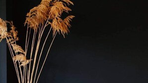 En sort læderpude står ved siden af en vase med tørrede planter.