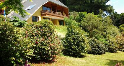 Swiss Chalet-like Home