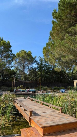 A wooden dock leading to a body of water, surrounded by tall grass and trees.