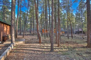 Property grounds - Bear Pine Cabin with Porch & Deck! (Pinetop)