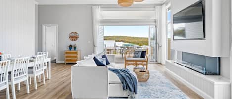 Smart TV, video game console, DVD player, books