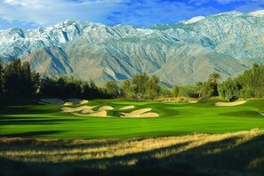 Golfers can enjoy well-maintained fairways and challenging sand bunkers amidst a natural setting surrounded by trees and shrubs.