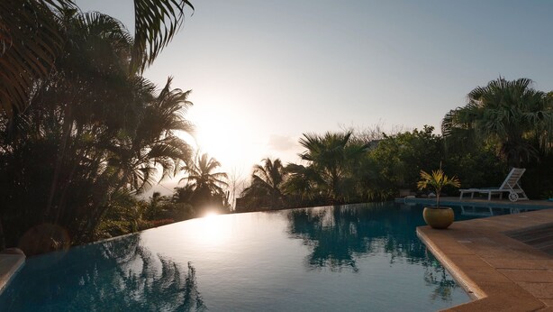 A clear view of a swimming pool with a tiled edge, surrounded by palm trees and a clear sky. - Exceptional property in a lush setting (Case-Pilote)