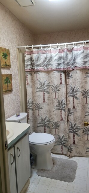 Baignoire, serviettes fournies
