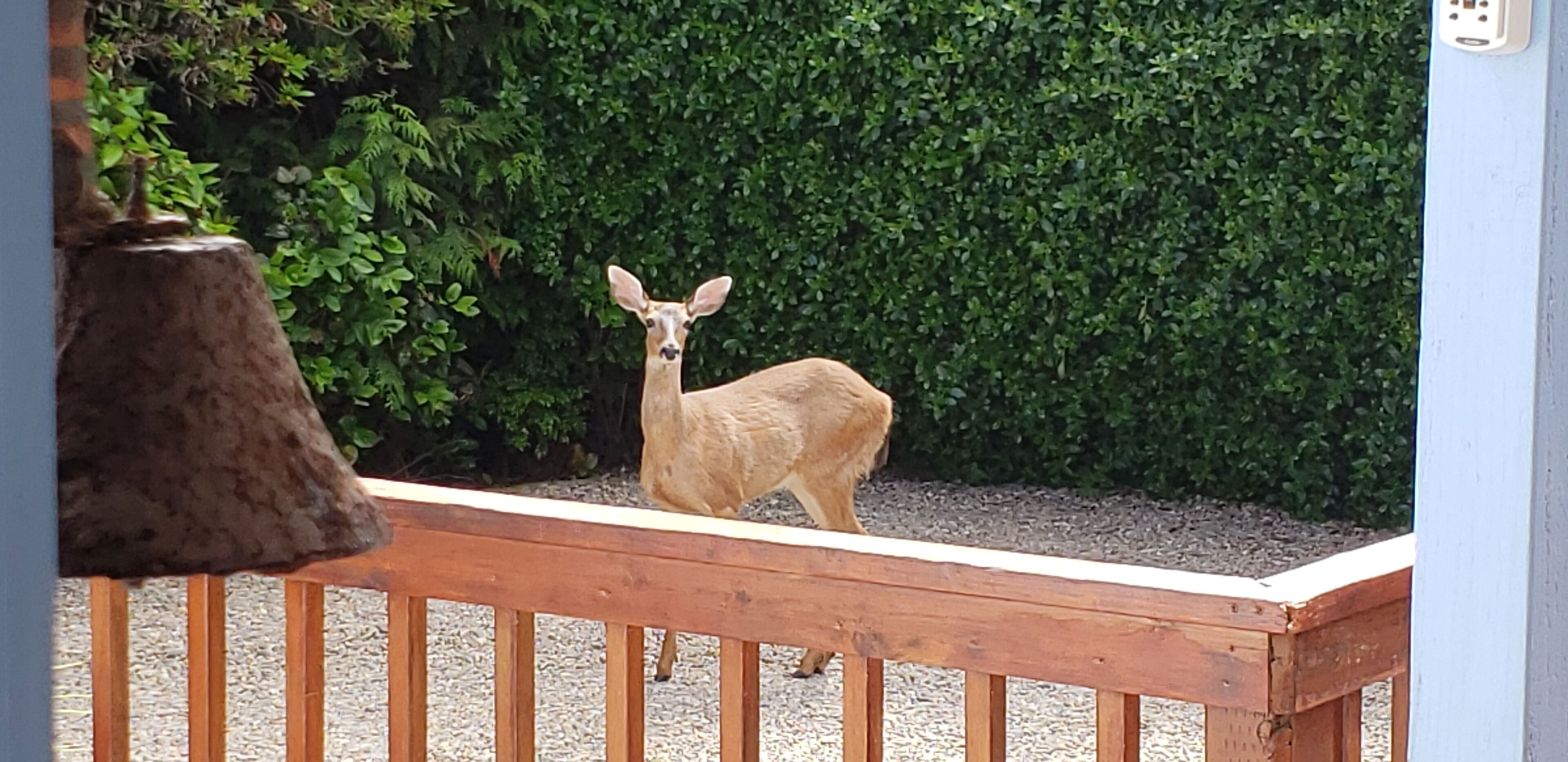 Enceinte de l’hébergement