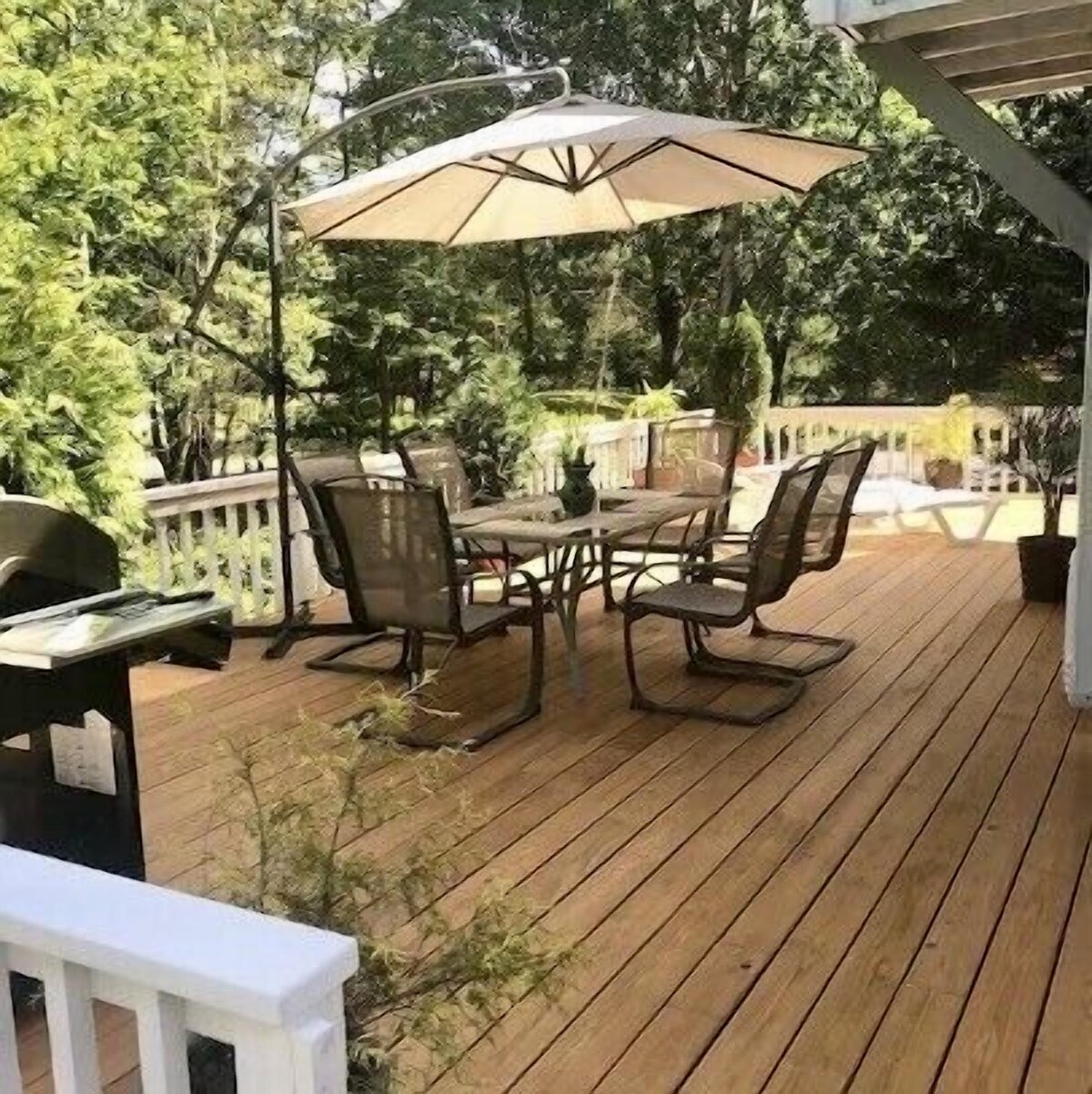 Foto de perfil del anfitrión