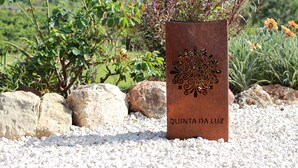 A metal planter with "QUINTA DA LUZ" engraved on it, surrounded by rocks and plants. - Quinta da Luz - A Luxury Boutique B&B (Silves)