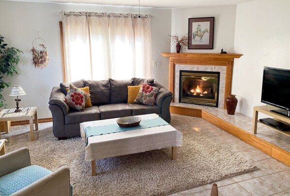 Smart TV, fireplace, books, music library