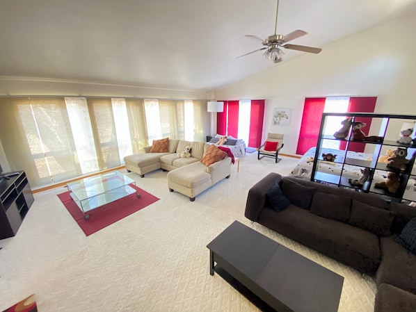 Smart TV, fireplace, books, music library