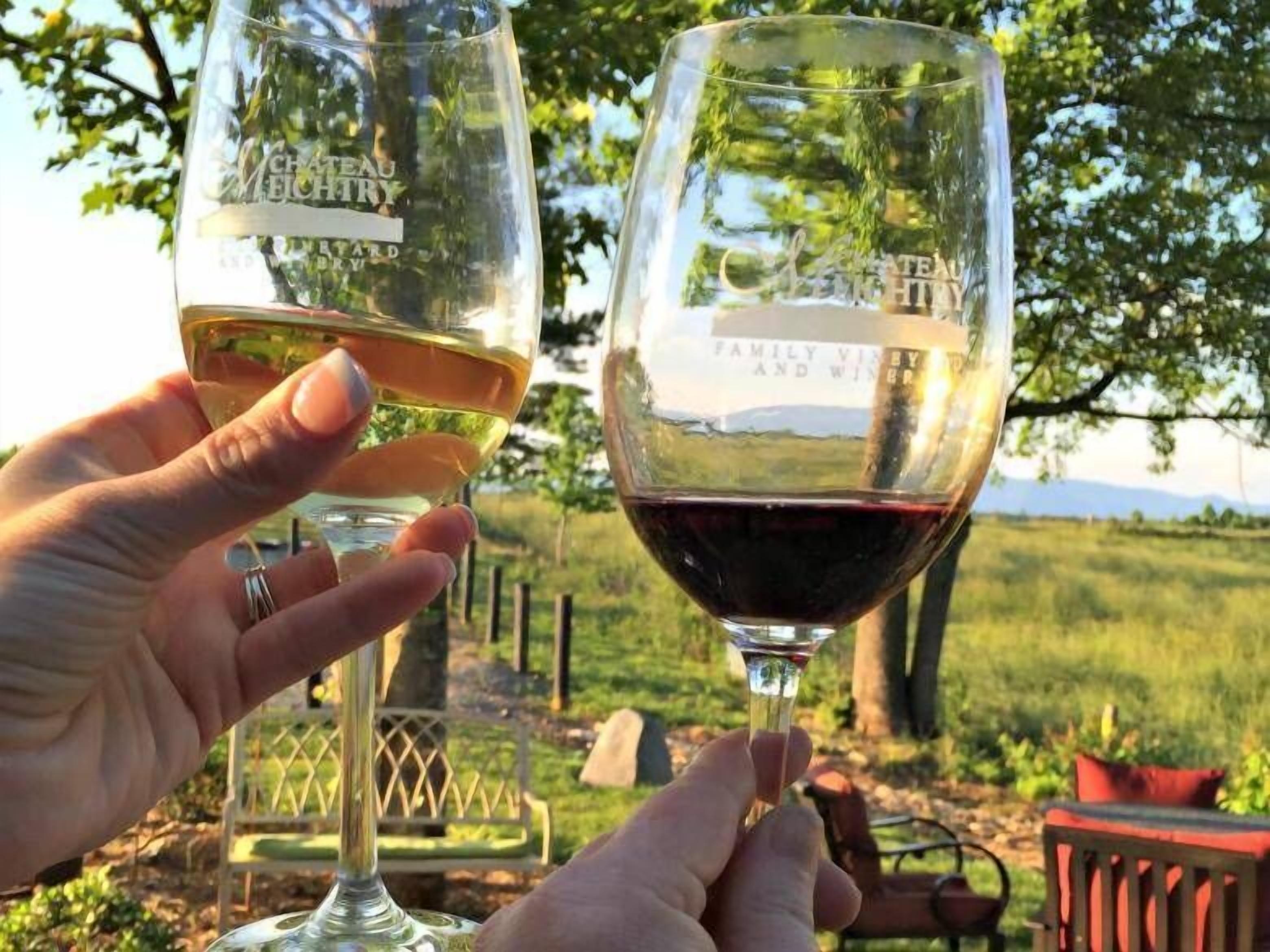 Two wine glasses with labels, held by hands, outdoors with a grassy field and trees in the background.