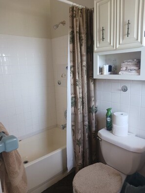 Combined shower/bathtub, hair dryer, towels, soap - A private waterfront setting, in the middle of 43 acres on Lake Ida (BOYNTON BEACH)