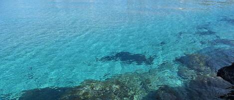 Beach nearby, sun loungers