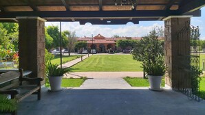 Un espacio al aire libre cubierto con césped, bancos y plantas en macetas.