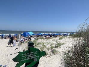 Playa en los alrededores y camastros