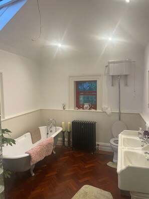 Combined shower/bathtub - Georgian period house (Tralee)