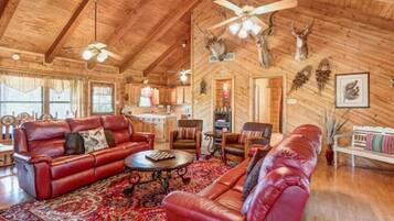 Télévision, cheminée