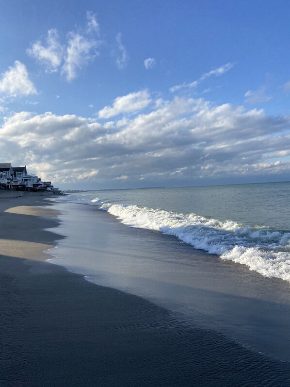 ビーチの近く、サンラウンジャー、ビーチタオル