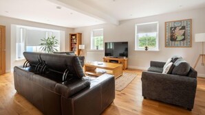 Un salon moderne avec un canapé en cuir, un divan gris, un plancher en bois, un téléviseur et une bibliothèque.