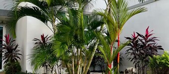 Catch some waves and chill, with high speed Wi-fi, washer & dryer.