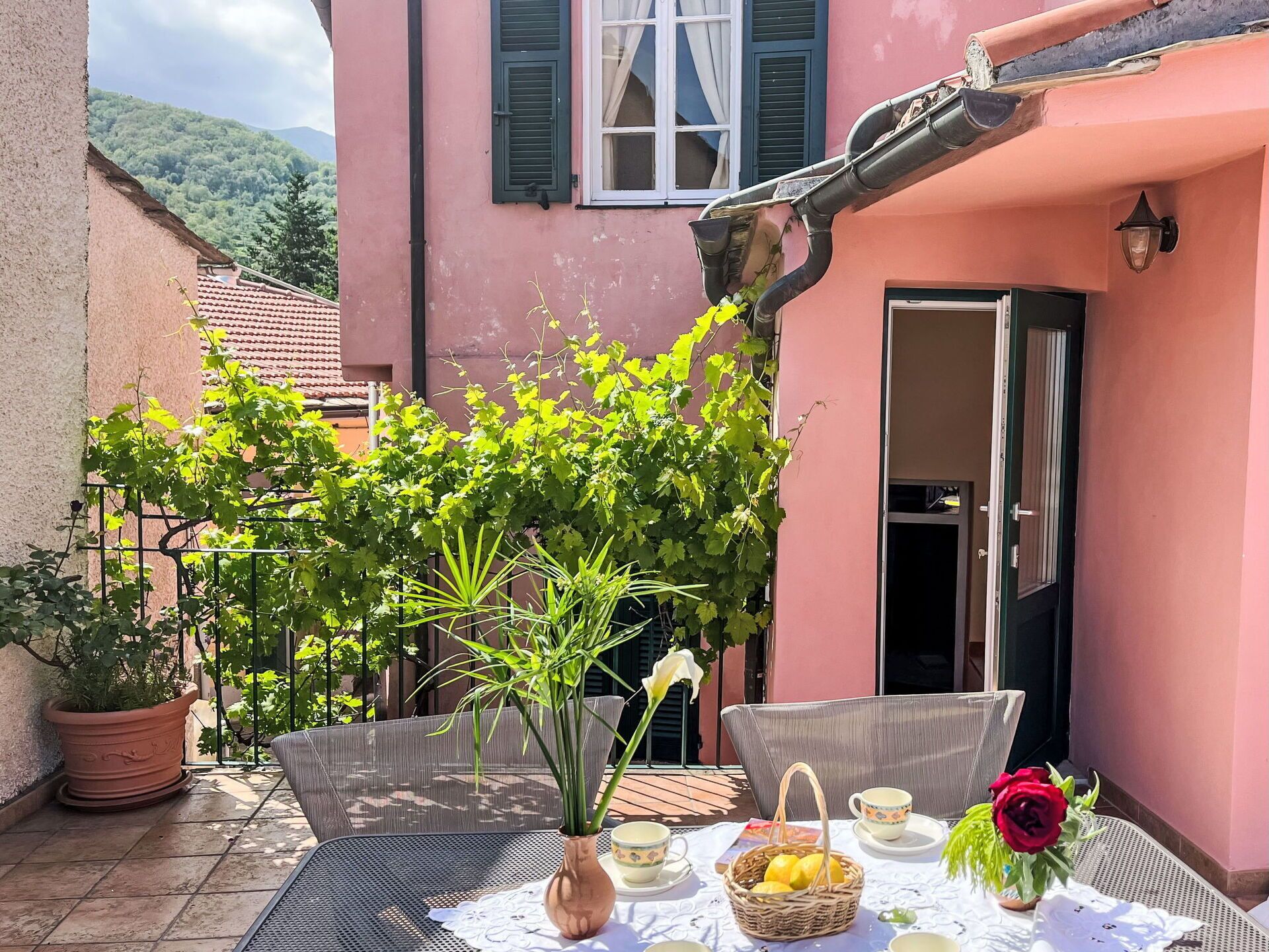 Eine Terrasse mit Tisch für zwei Personen, einem Topfpflanzen und einer roten Rose.