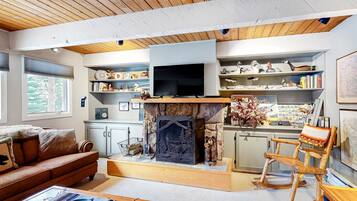 TV, fireplace, books