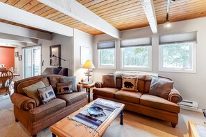 TV, fireplace, books