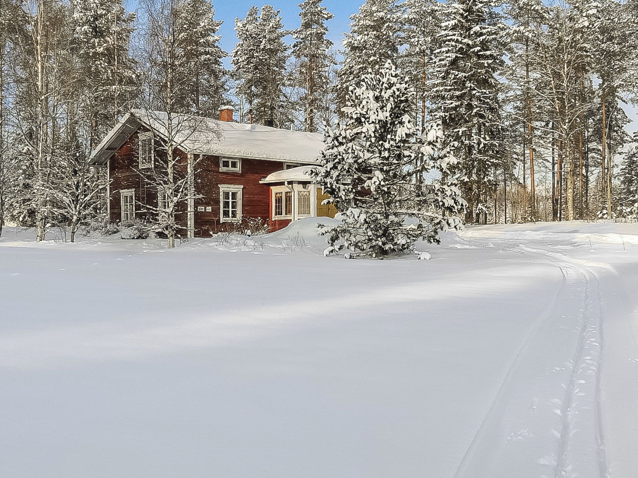 Eksteriør