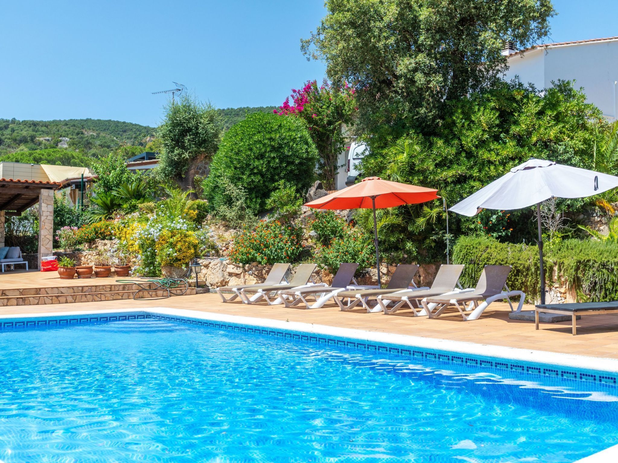 A swimming pool with lounge chairs and umbrellas, surrounded by greenery and a building.