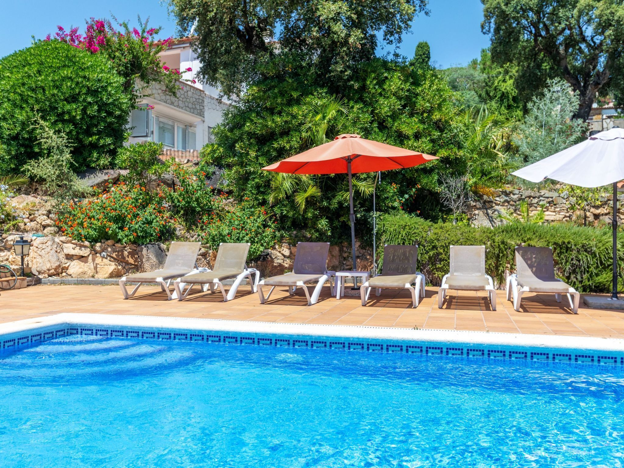 Une piscine entourée de verdure et d’un mur de pierre, avec des chaises longues et des parasols.