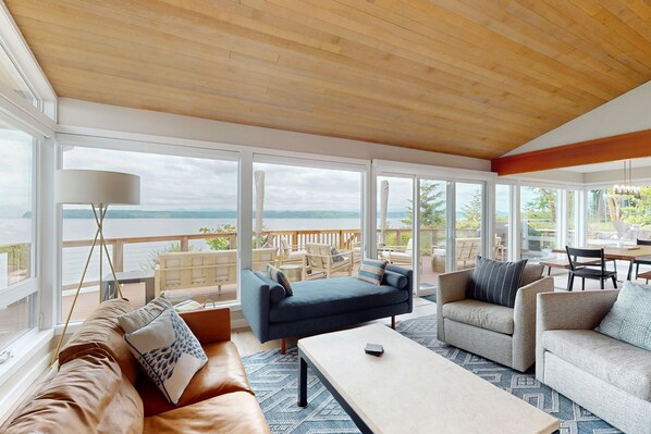 TV, fireplace, books