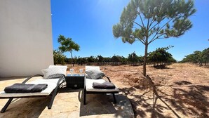 Eine Terrasse mit zwei Liegestühlen und einem Tisch, ein Baum und ein Weinberg im Hintergrund.