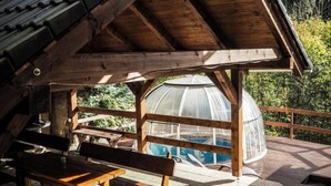 A wooden pavilion with a bench and picnic table, a greenhouse structure, and a stone pathway. - Star Hamry Mosl590 (Staré Hamry)