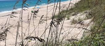 Beach front Studio