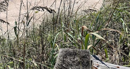 Beach front Studio