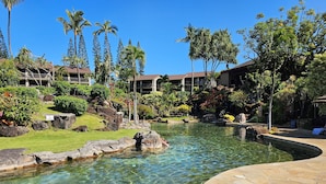 Piscina cristalina con borde de piedra, rodeada de plantas tropicales y palmeras, con edificios de hotel al fondo.