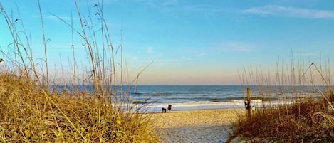 Playa en los alrededores, windsurf, kayaks y paseos en botes de motor