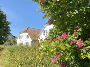 Property grounds - House B - Whg 01 with terrace - F: Lotsenberg Apartments with 8 apartments (Mönchgut)