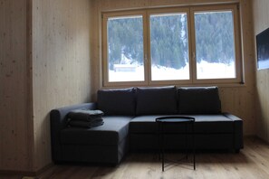 Fernseher