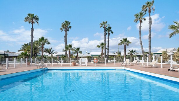 Une piscine bordée de palmiers et dotée de chaises longues.