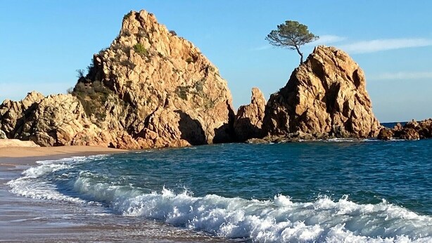 A coastal landscape with rocky formations and a single tree on a prominent rock. - Sunny 2-Bedroom Apartment with Terrace - shared Pool, Parking - Mountain View and close to the Beach (Tossa De Mar)