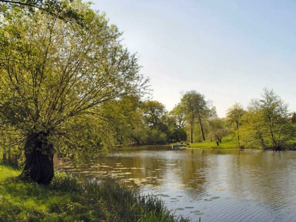 Ein ruhiger See mit Bäumen und einer grünen Wiese.