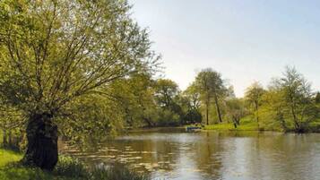 Ein ruhiger See mit Bäumen und einer grünen Wiese.