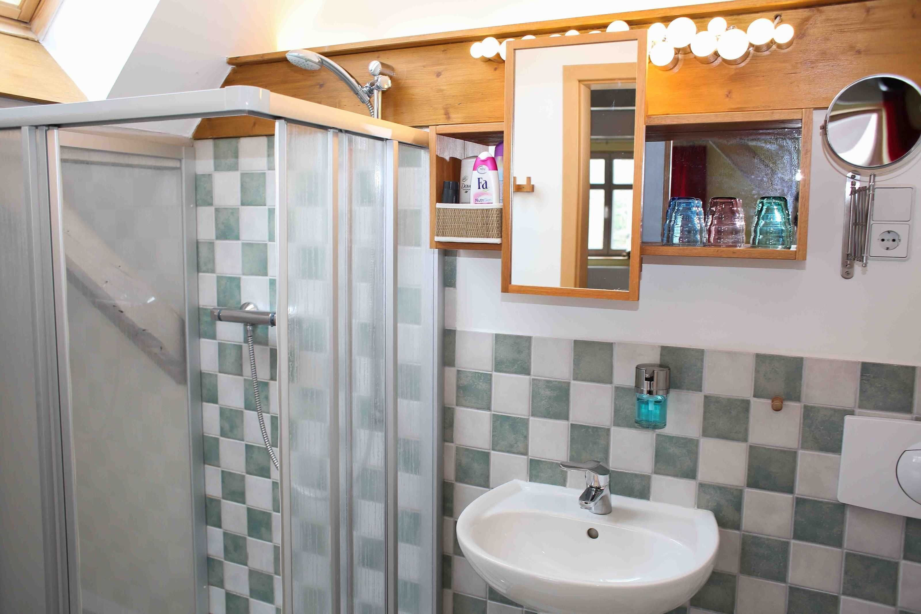 Shower, hair dryer, towels