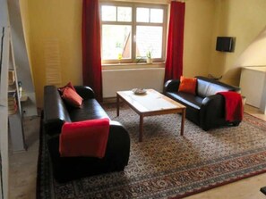 TV, fireplace - Room 2 - Pension Am Scholitzer See (Dessau-Roßlau)