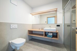 Ducha, secador de pelo y toallas