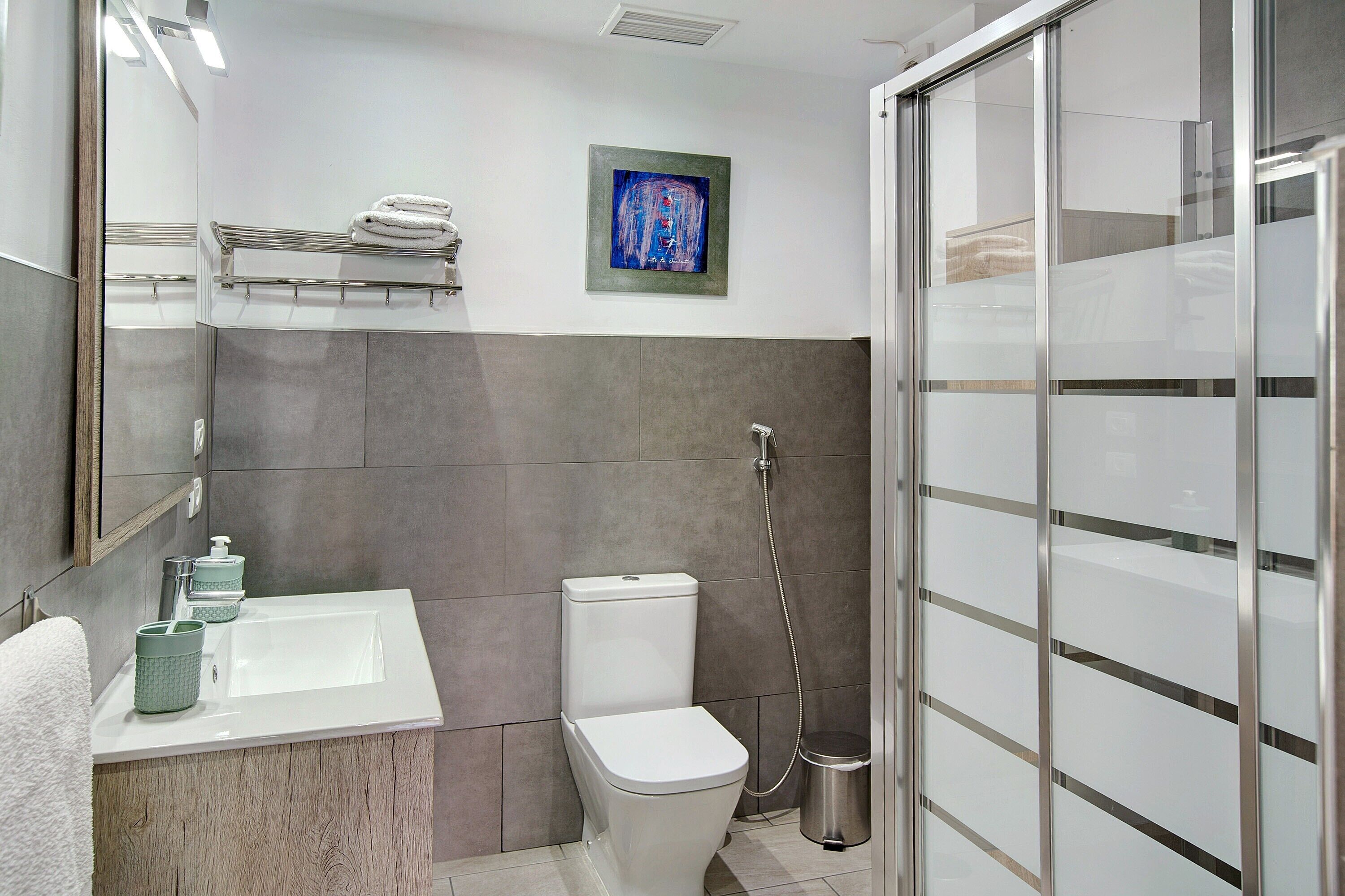 Shower, hair dryer, towels